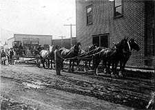 Horse drawn road grader working the street in front of E. Archibald and Sons in Rosedale, 1912. P383.