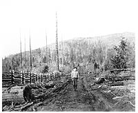 Gene Voight standing on No. 4 Road (now called Haley Road) Ryder Lake, 1918. P2189.