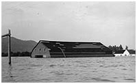 Greendale Roller Rink under water during the Fraser River flood of 1948. P1247