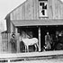 Front view of the John MacLeod general blacksmith shop on Wellington 1894.  P540