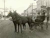 Donald McGillivray with his wife, seated in a horse-drawn buggy, Wellington Street