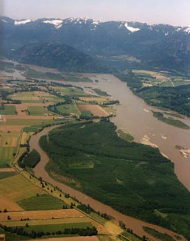 Fraser River, 1999, Ron Denman photo