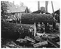 The second Orion Bowman mill at the foot of Promontory ca. 1930. P2101