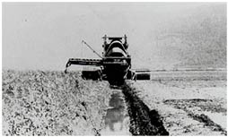 Drainage ditch in progress, ca. 1920s. P6699