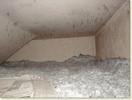 Lowered Ceilings