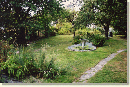 Back Garden