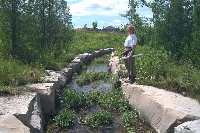 Riparian zone rehabilitation