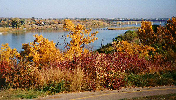 Saskatchewan Riverbank