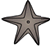 Bat Star