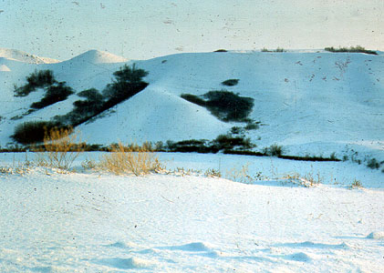 Snow Hills