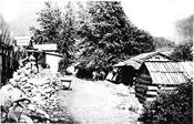 Town of Wildhorse, 1890’s, Fort Steele (FS-8.526)