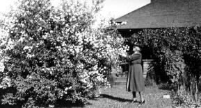 Sara West in her yard, 1946