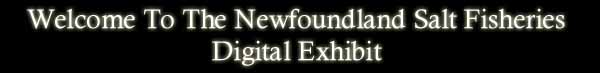 Welcome to the Newfoundland Salt Fisheries Digital Exhibit