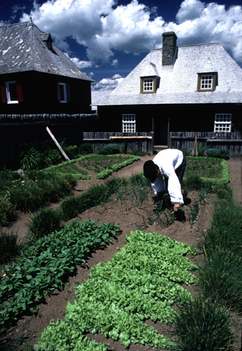 Animator working in the De la Perelle garden
Photographer: Jamie Steeves
Date of Photograph: Summer 1997
05-J-3-197