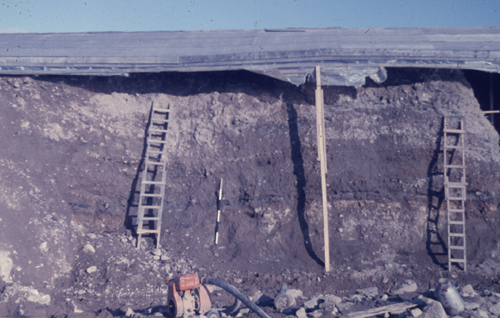 Section along Right Rampart showing Original Land Surface
Date of Photo: 09/1963
Provenience: 1B
2a-3-8