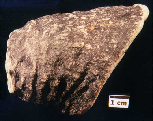 Specimen 987GF97.3