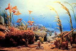 The Silurian Sea