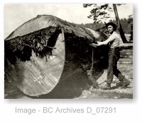 Denman Island Logger - Now... if I just push here...