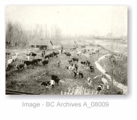 Well's Farm, Chilliwack (17kb)