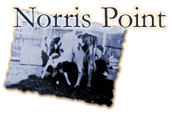 Norris Point