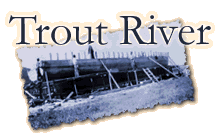 Trout River