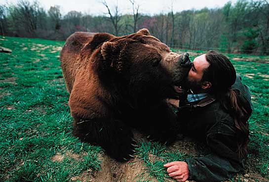 grizzly kiss