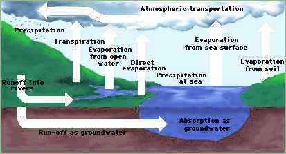 Diagram of hydrological cycle (14kb)