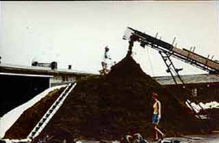 manure is carried out of a barn and then dumped by a conveyer belt. (64kb)