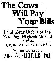 cow advertisement