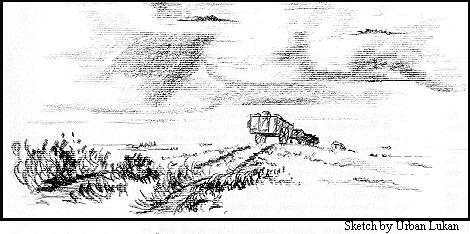 Sketch Of Red River Cart, 30K