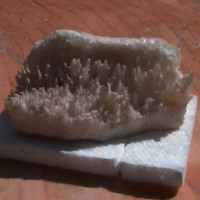 Calcite Sample