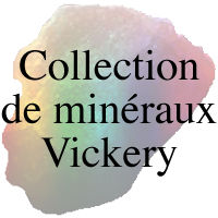 La collection de minéraux Vickery