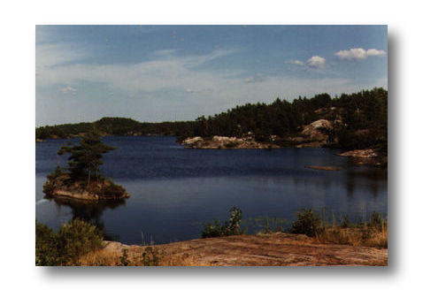 A typical northern Ontario landscape - The animal imagemap