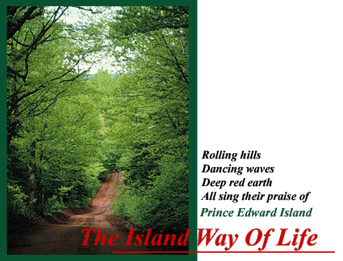 The Island Way of Life