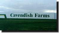 Cavendish Farms