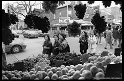 Photo of the view from inside the Oxford Fruit store, at the corner of Nassau and Augusta, where grapes are hung in the Malaysian tradition.