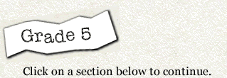 grade 5 sections