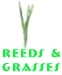 Reeds and Grass Button