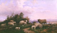 Sheep Resting in a Landscape