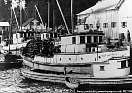 Seine boats tied up at Quathiaski Canning Co. wharf,
Quathiaski Cove, Quadra Island, c.1912
