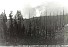 Fire at Granite Bay c. 1920's.