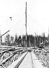 Logging spar tree and railroad track at Elk Bay.