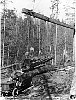 Loading logs onto a logging truck, Beaver Creek, Loughborough Inlet. 