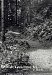 Sentier des chutes Elk Falls, Campbell River, vers 1920 