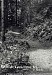 Sentier des chutes Elk Falls, Campbell River, vers 1920.