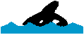 icon of White-beaked Dolphins
