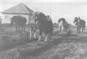 Fort St. John mail service - 1923