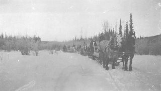 Henry McLeod's Pack train