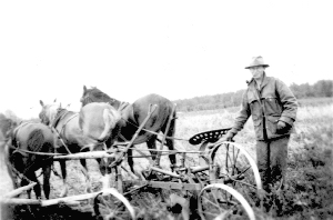 Horses with plough