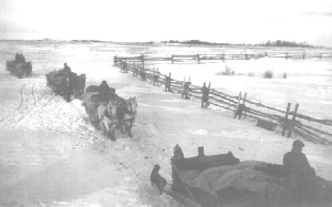 Freighting on the Fort Nelson Trail